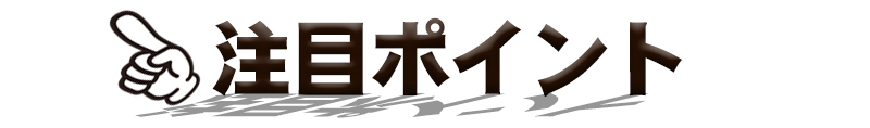 	注目ポイント	